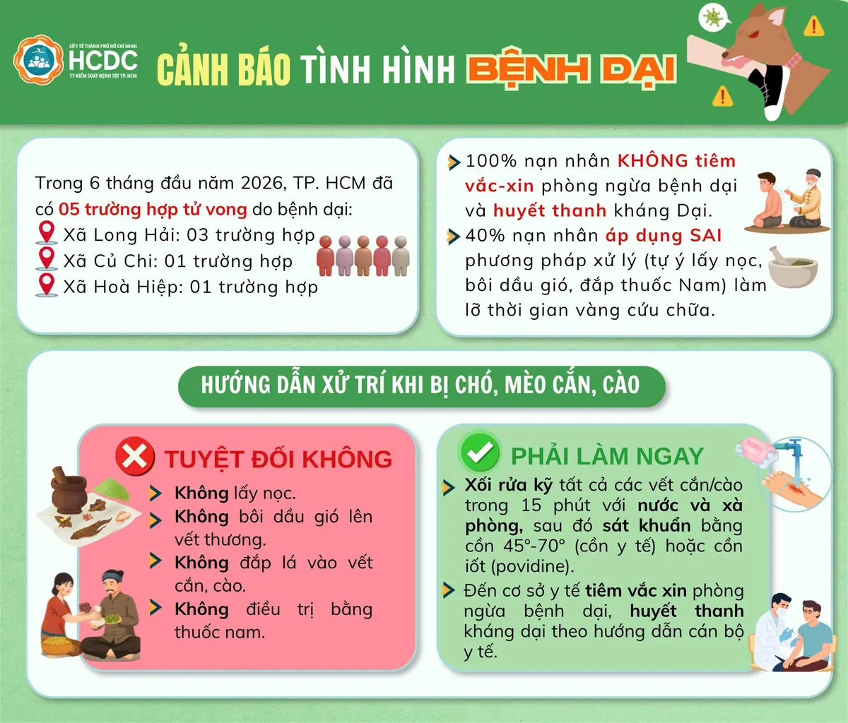 TP Hồ Chí Minh đã có 5 ca tử vong do bệnh dại- Ảnh 1.