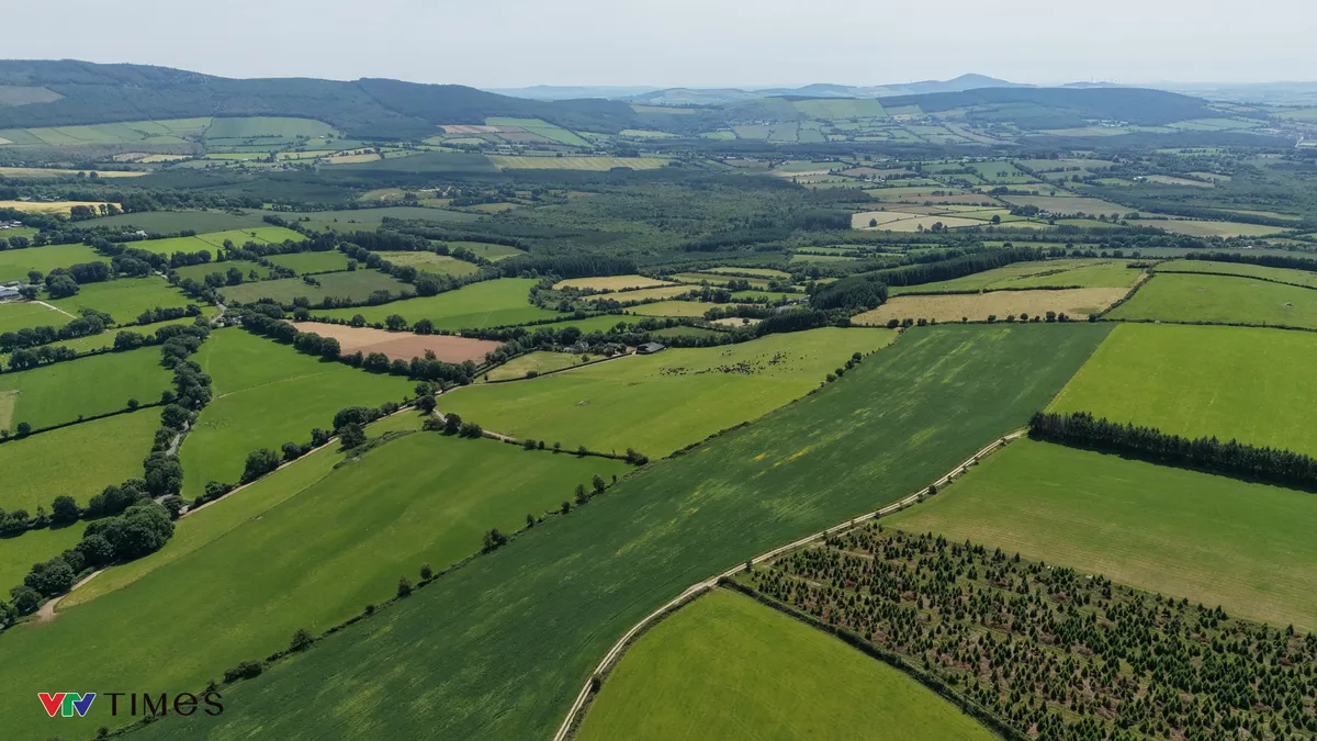 Từ đồng cỏ 5 thế hệ Ireland đến bàn ăn Việt: Sức hút của những giọt sữa “thuần tự nhiên” - Ảnh 6.