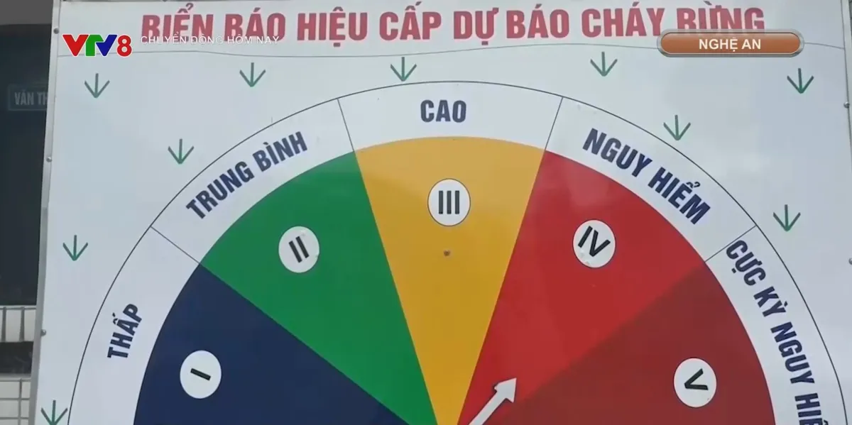 Khẩn cấp phòng chống cháy rừng - Ảnh 3. Khẩn cấp phòng chống cháy rừng - Ảnh 3.