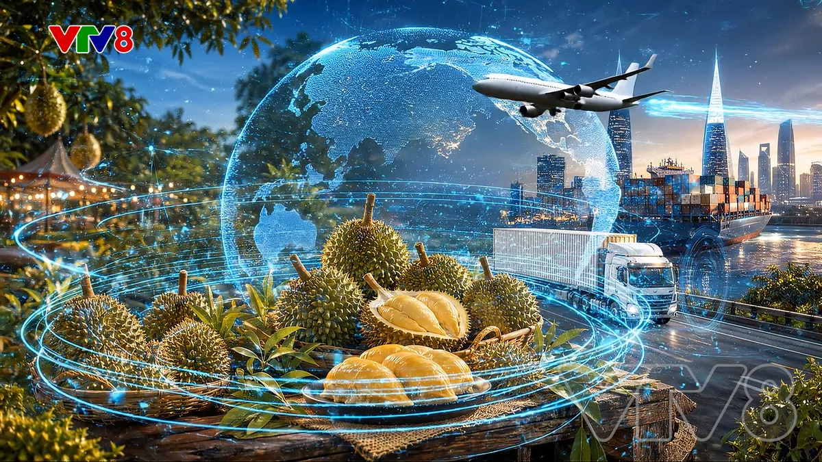 Lễ hội sầu riêng Đắk Lắk 2026: Khát vọng vươn tầm từ vùng đất đỏ bazan- Ảnh 7. Lễ hội sầu riêng Đắk Lắk 2026: Khát vọng vươn tầm từ vùng đất đỏ bazan- Ảnh 7.