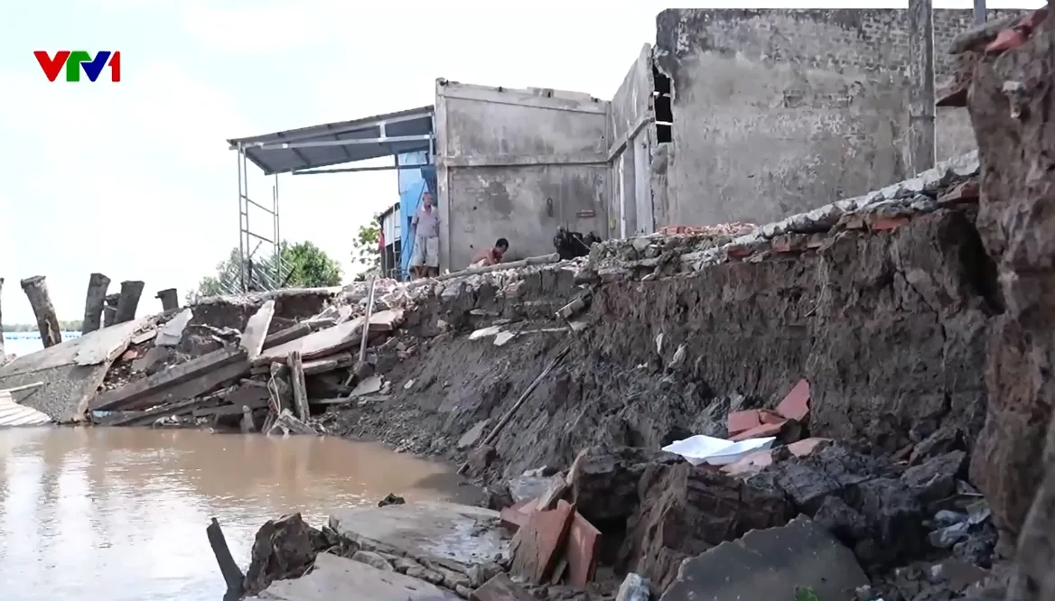 Liên tiếp xảy ra sạt lở tại nhiều tuyến sông ở Cà Mau, 3 căn nhà bị sụp xuống sông - Ảnh 1.