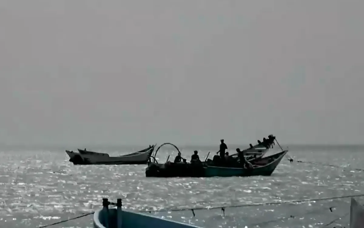 (Ảnh chụp màn hình)