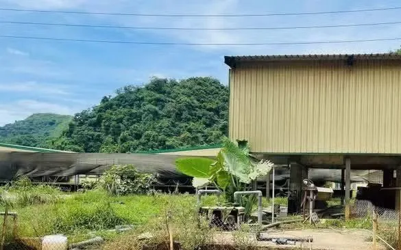 Hiện trường vụ tai nạn lao động khiến 5 người tử vong và 2 người bị thương tại trang trại Công ty TNHH DABACO Thanh Hóa. (Ảnh: TTXVN phát)