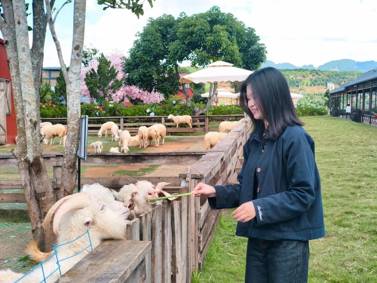 L&acirc;m Đồng mở rộng k&iacute;ch cầu, hướng đến tăng trải nghiệm v&agrave; chi ti&ecirc;u du lịch - Ảnh 1.