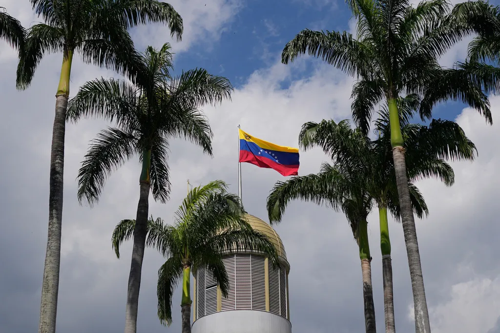 Venezuela x&aacute;c nhận 3 ca tử vong do Hantavirus- Ảnh 1.