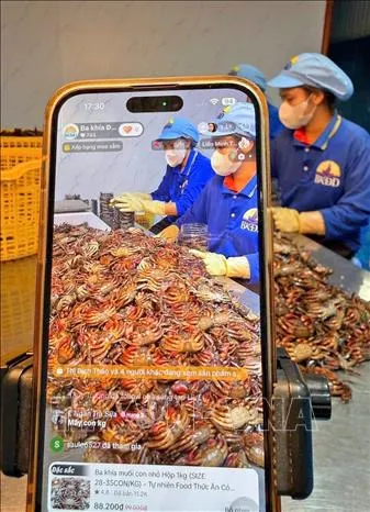 C&agrave; Mau: Đặt kỳ vọng v&agrave;o chuyển đổi số để th&uacute;c đẩy tăng trưởng- Ảnh 1.