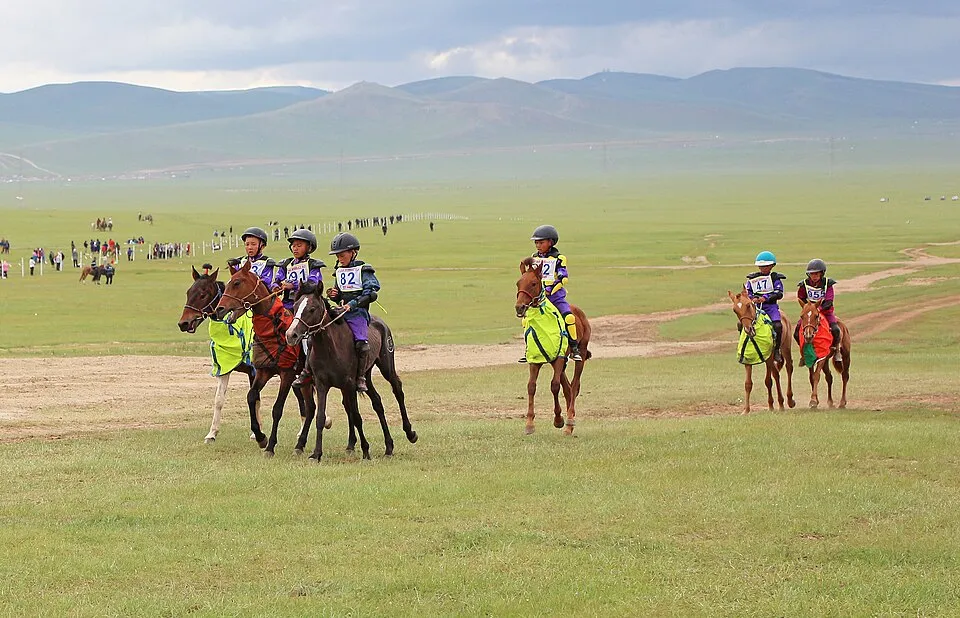Naadam - Linh hồn thảo nguy&ecirc;n M&ocirc;ng Cổ - Ảnh 2.