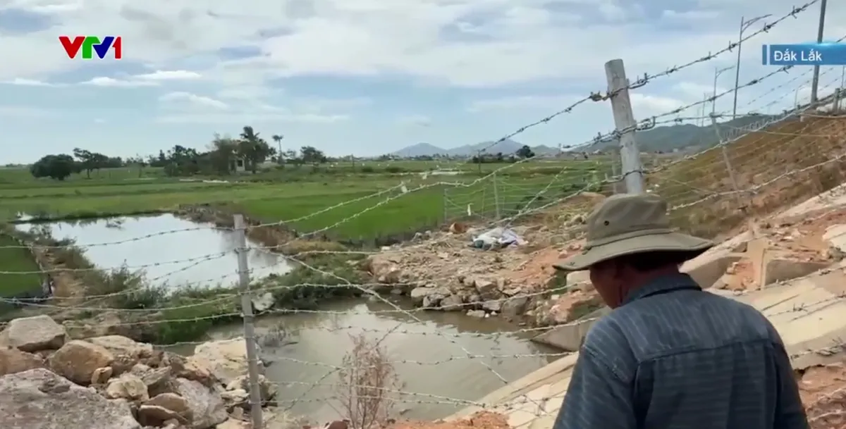 Hơn 13 ha lúa bỏ hoang do kênh mương bị vùi lấp trong quá trình thi công cao tốc - Ảnh 2.
