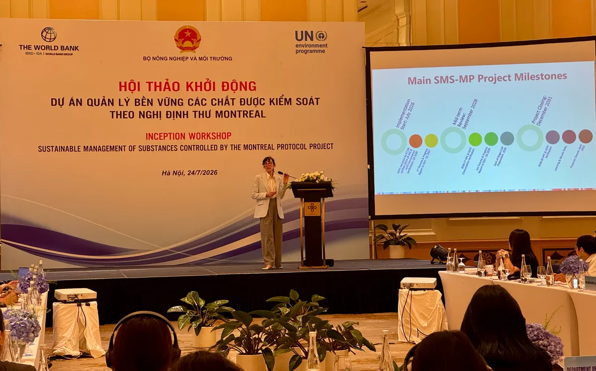 Khởi động dự &aacute;n SMS-MP: Th&uacute;c đẩy chuyển đổi c&ocirc;ng nghệ l&agrave;m lạnh xanh tại Việt Nam - Ảnh 3.