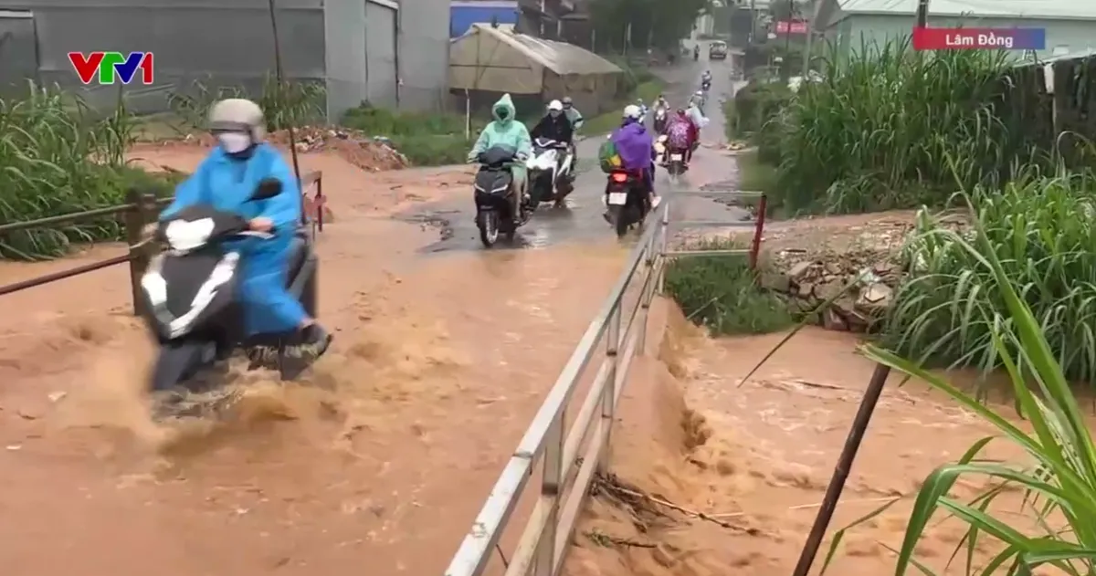 NGƯỜI D&Acirc;N G&Oacute;P SỨC ỨNG PH&Oacute; NGẬP LỤT - Ảnh 1.
