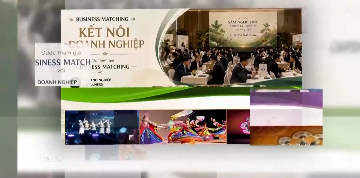 Đ&agrave; Nẵng chuẩn bị chu đ&aacute;o cho Lễ hội S&acirc;m Ngọc Linh v&agrave; Dược liệu Quốc tế: Kh&aacute;t vọng n&acirc;ng tầm thương hiệu quốc gia- Ảnh 5.