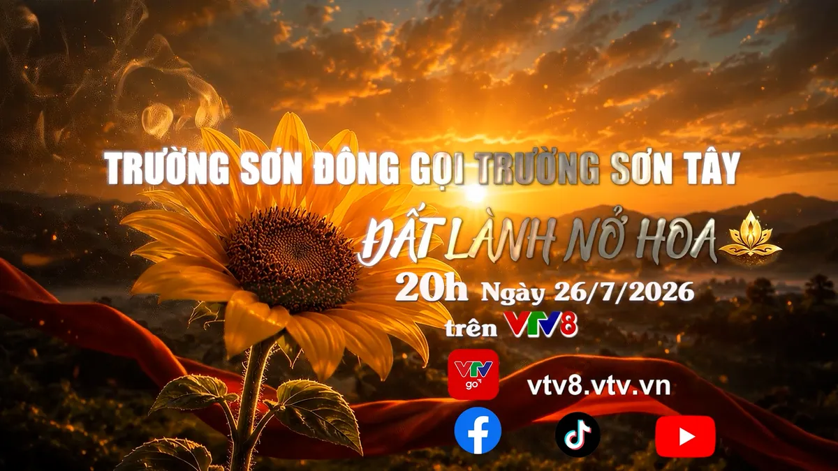 Trực tiếp Trực tiếp