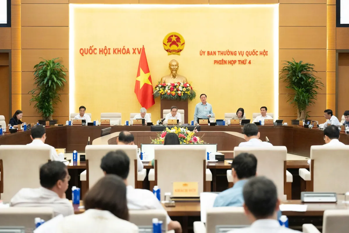 Không làm ảnh hưởng đến môi trường khi thực hiện dự án đô thị lấn biển - Ảnh 3.