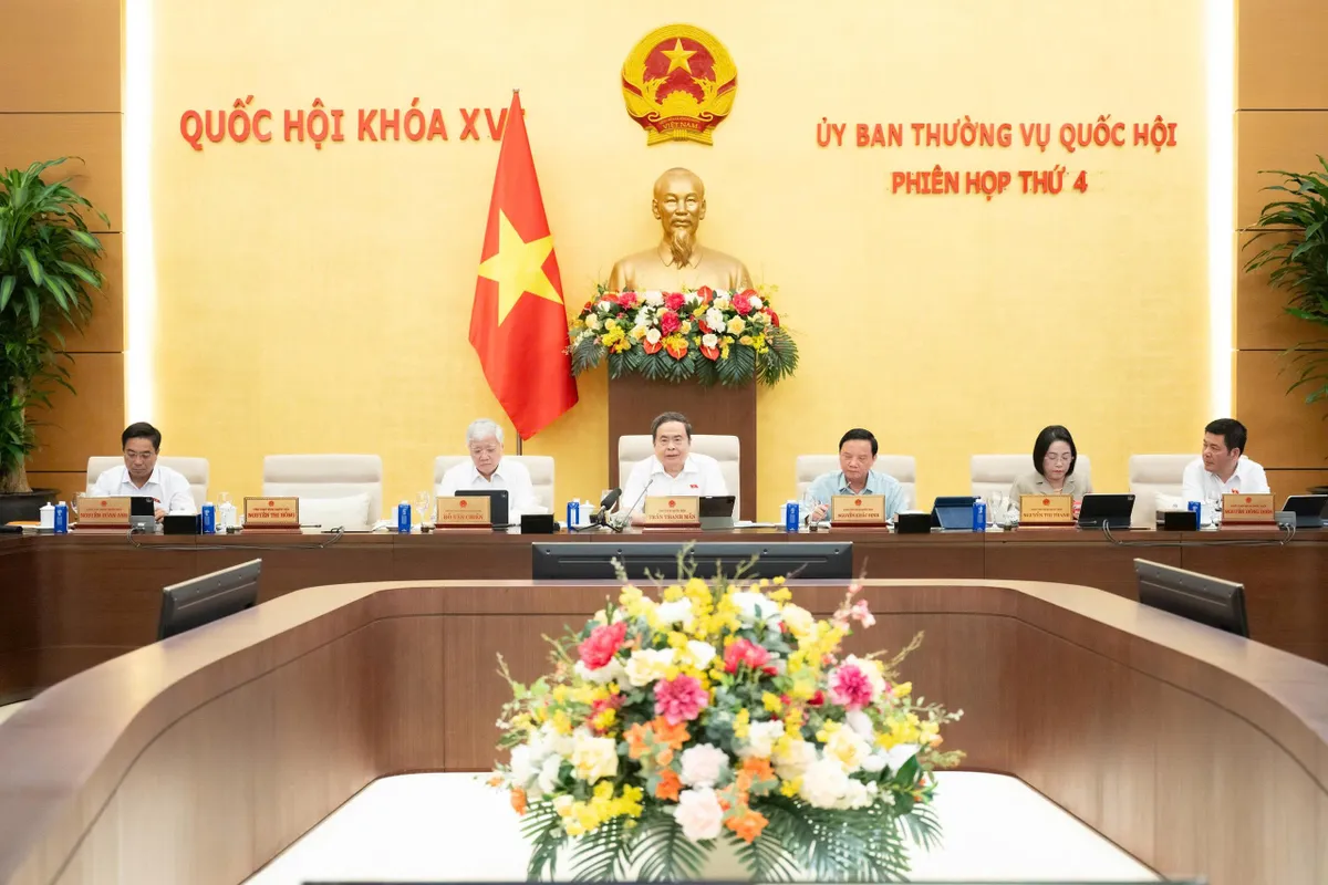 Không làm ảnh hưởng đến môi trường khi thực hiện dự án đô thị lấn biển - Ảnh 1.