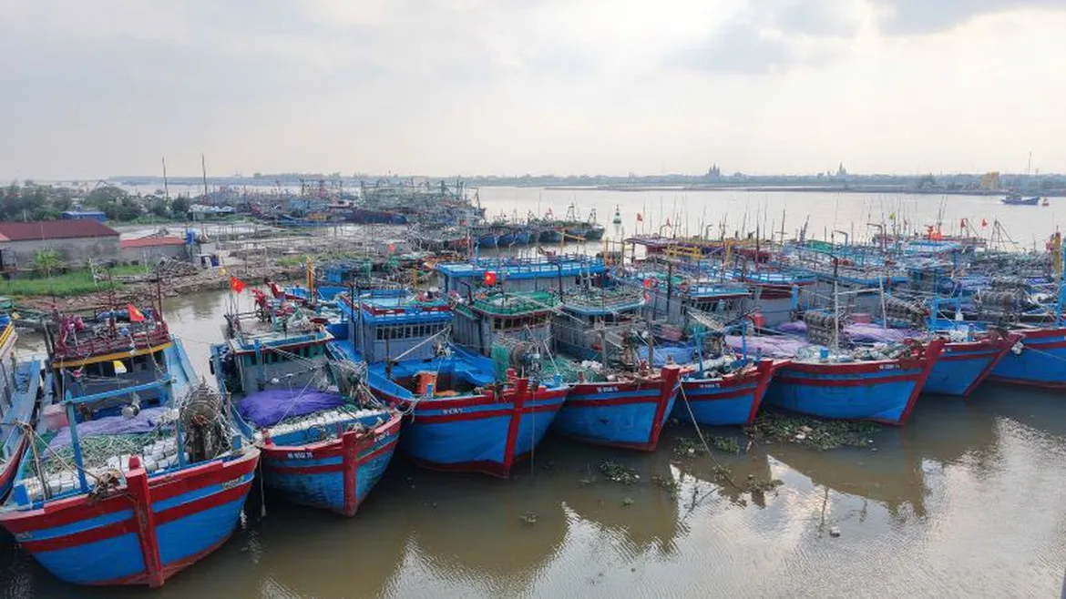 Ninh B&igrave;nh tăng tốc h&agrave;nh tr&igrave;nh gỡ "thẻ v&agrave;ng" IUU - Ảnh 2.
