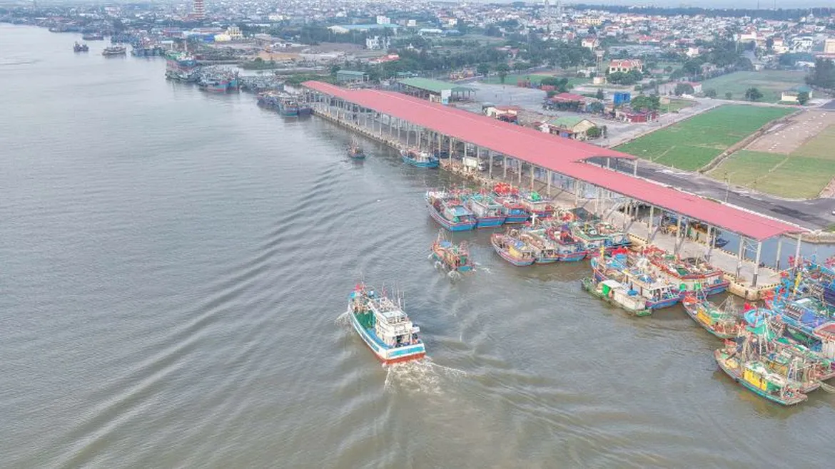 Ninh B&igrave;nh tăng tốc h&agrave;nh tr&igrave;nh gỡ "thẻ v&agrave;ng" IUU - Ảnh 4.