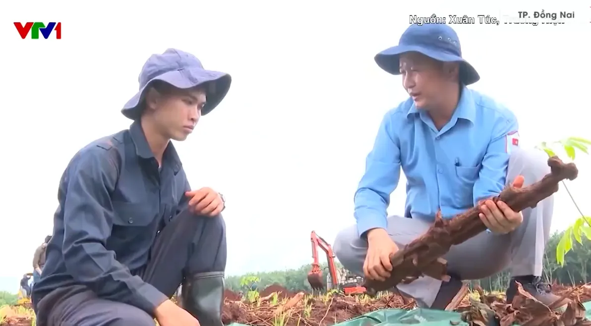 Đồng Nai phát hiện 21 bộ hài cốt liệt sĩ cùng nhiều di vật tại xã Minh Đức - Ảnh 2.
