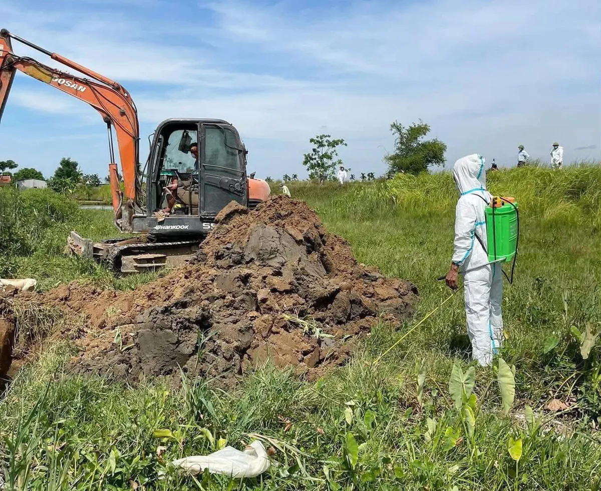 Nghệ An ban h&agrave;nh C&ocirc;ng điện khẩn về ph&ograve;ng chống dịch C&uacute;m gia cầm - Ảnh 1.