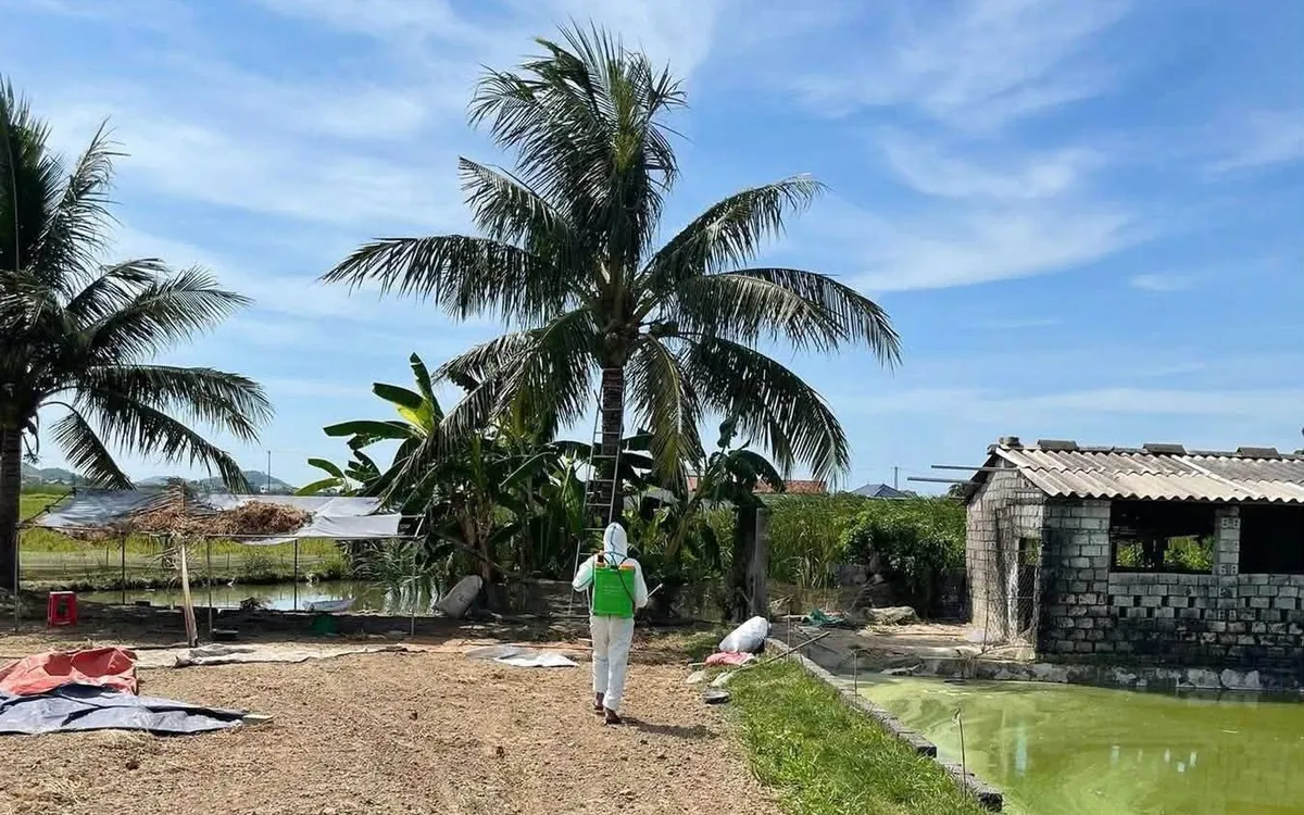 Ngày 20/6/2026, xã Hùng Châu ghi nhận ổ dịch Cúm gia cầm H5N1 đầu tiên tại xóm Trường Thành, sau đó tiếp tục phát sinh ổ dịch mới. Ảnh xã Hùng Châu.