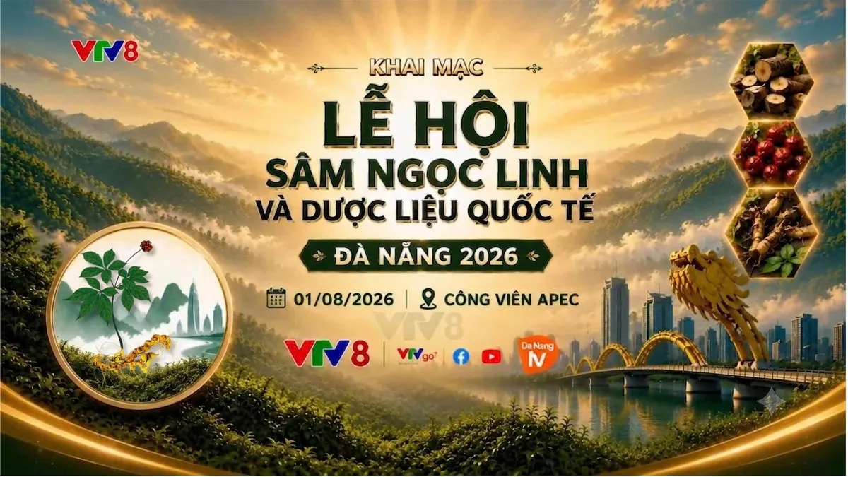 Lễ hội S&acirc;m Ngọc Linh v&agrave; Dược liệu quốc tế Đ&agrave; Nẵng 2026: Nơi tinh hoa đại ng&agrave;n hội tụ- Ảnh 6.