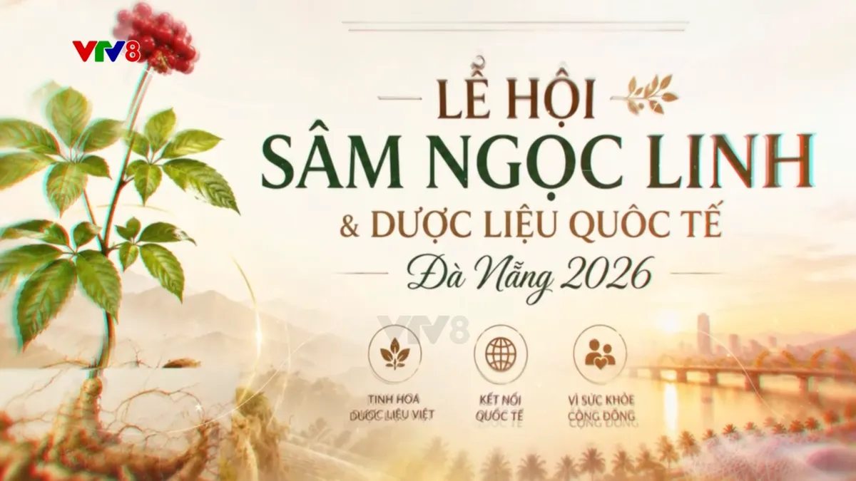 Lễ hội S&acirc;m Ngọc Linh v&agrave; Dược liệu quốc tế Đ&agrave; Nẵng 2026: Nơi tinh hoa đại ng&agrave;n hội tụ- Ảnh 1.