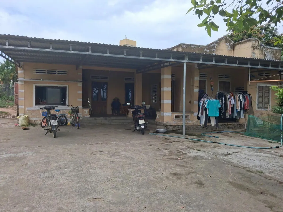 Mong một nhịp tim l&agrave;nh cho b&eacute; Nguyễn V&otilde; Ho&agrave;i Thương - Ảnh 1.