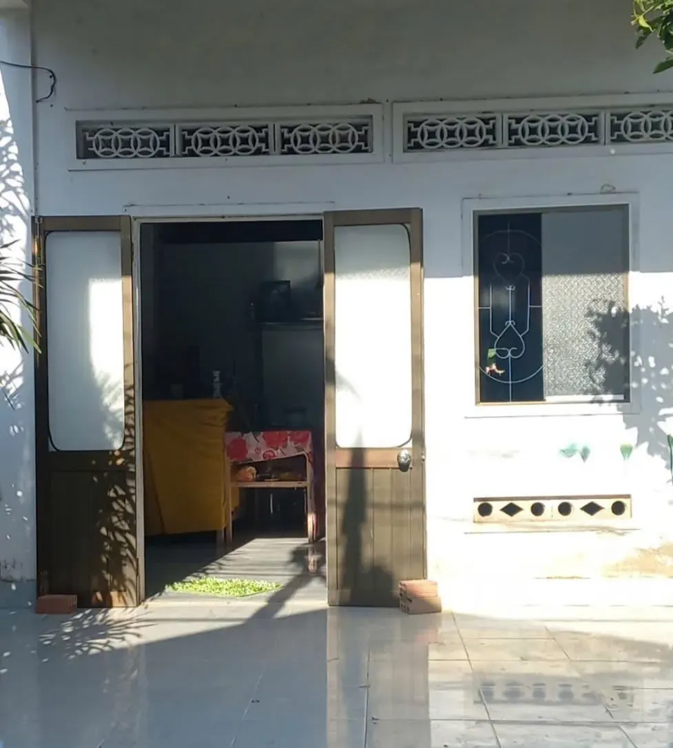 Một ống gh&eacute;p mới, một cơ hội mới cho tr&aacute;i tim Ngọc Vi&ecirc;n - Ảnh 1.