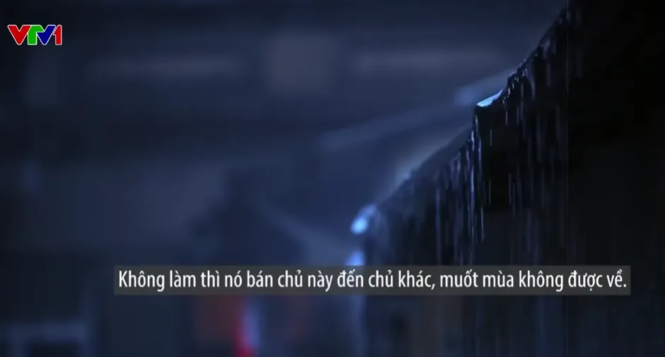 Từ lời hứa đổi đời đến nỗi ám ảnh kéo dài của nạn nhân mua bán người - Ảnh 9.