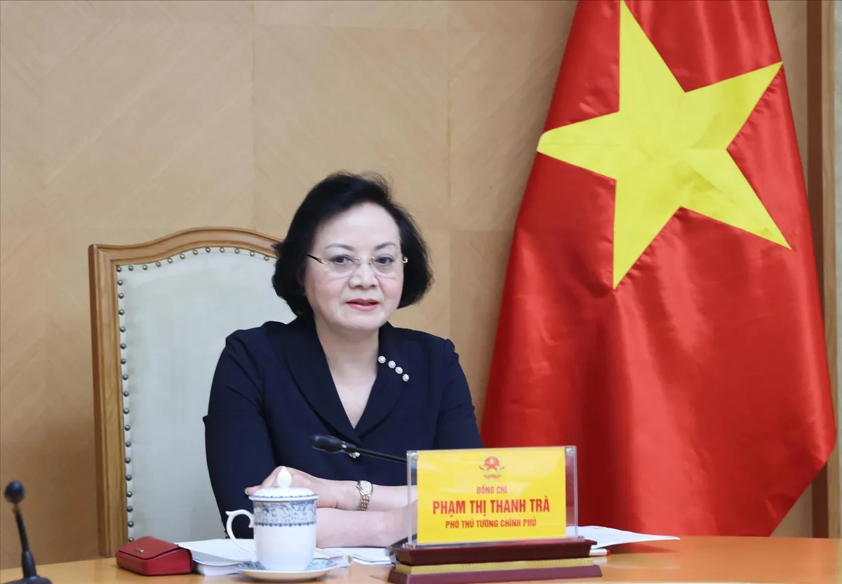 Ph&oacute; Thủ tướng Phạm Thị Thanh Tr&agrave;: Tạo dựng m&ocirc;i trường thuận lợi để ph&aacute;t hiện, đ&agrave;o tạo, bồi dưỡng, trọng dụng nh&acirc;n t&agrave;i - Ảnh 1.