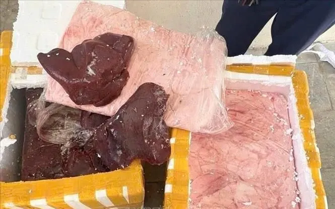 Sản phẩm động vật không rõ nguồn gốc bị lực lượng chức năng tỉnh Tuyên Quang phát hiện và tiêu hủy. Ảnh: TTXVN 