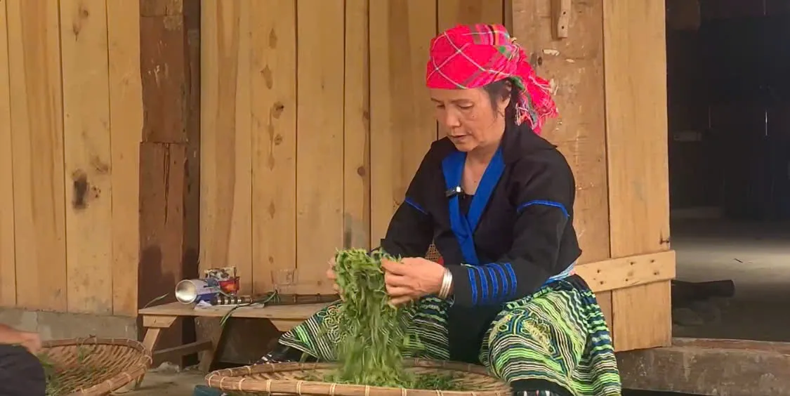 Giữ g&igrave;n văn h&oacute;a từ những lớp học dưới t&aacute;n ch&egrave; Shan tuyết L&agrave;o Cai  - Ảnh 6.