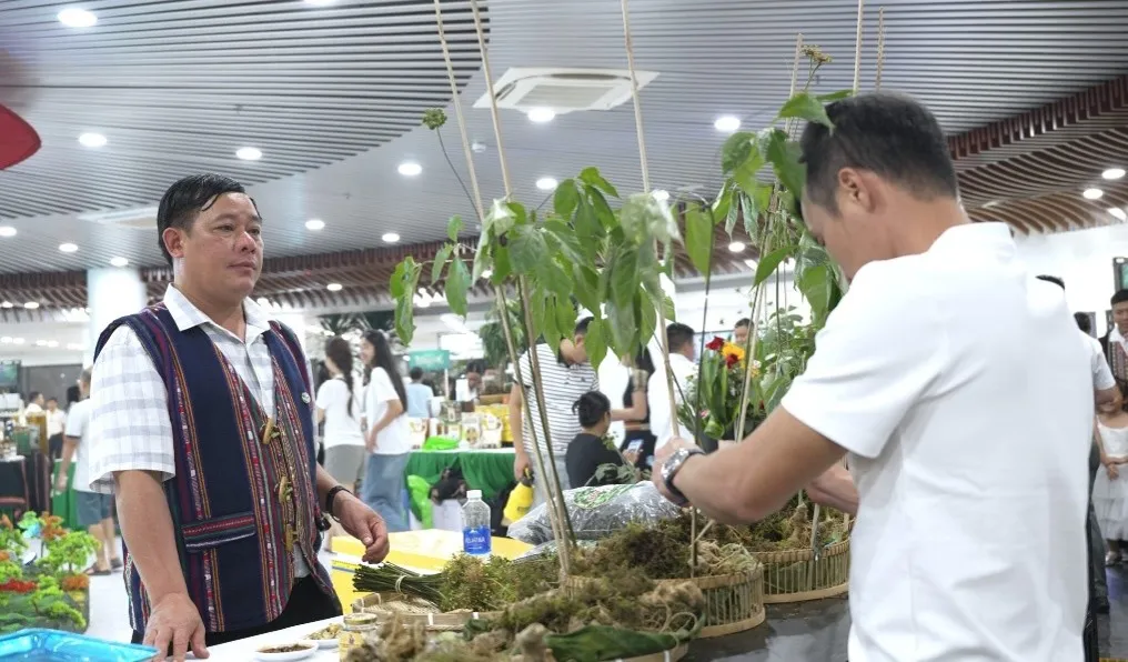 Đà Nẵng: Khai mạc Lễ hội "Sâm Ngọc Linh - Tinh hoa dược liệu thế giới" - Ảnh 3.