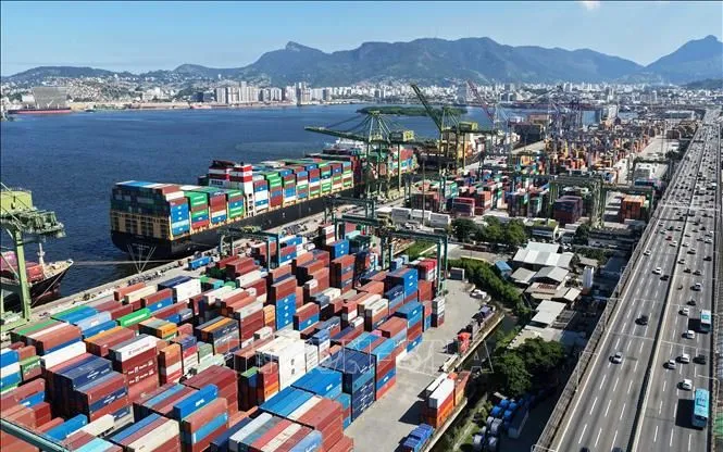 Tận dụng giá cước container hạ nhiệt để xuất hàng sớm - Ảnh: THX