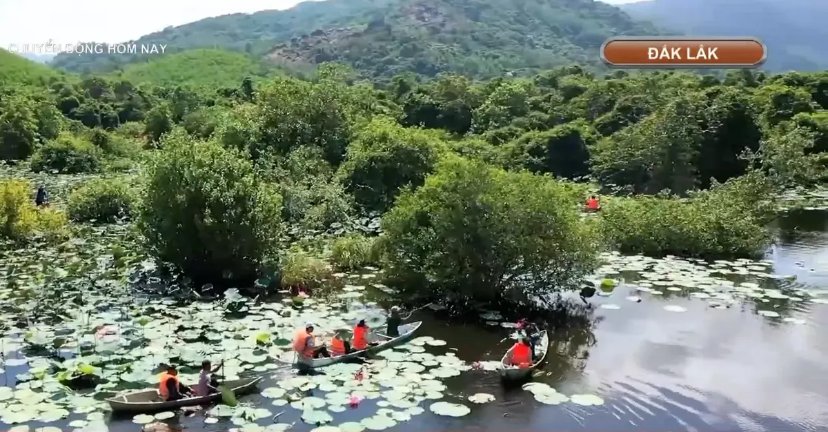 Kh&aacute;m ph&aacute; Bầu Đ&aacute; &ndash; rừng ngập nước độc đ&aacute;o ở Đắk Lắk- Ảnh 7.