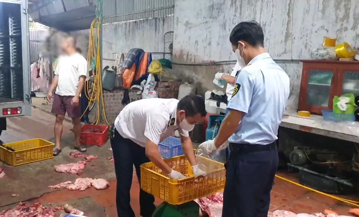 Chuyển cơ quan điều tra vụ gần 1 tấn thịt lợn nghi nhiễm dịch tả lợn ch&acirc;u Phi ở Hưng Y&ecirc;n - Ảnh 3.