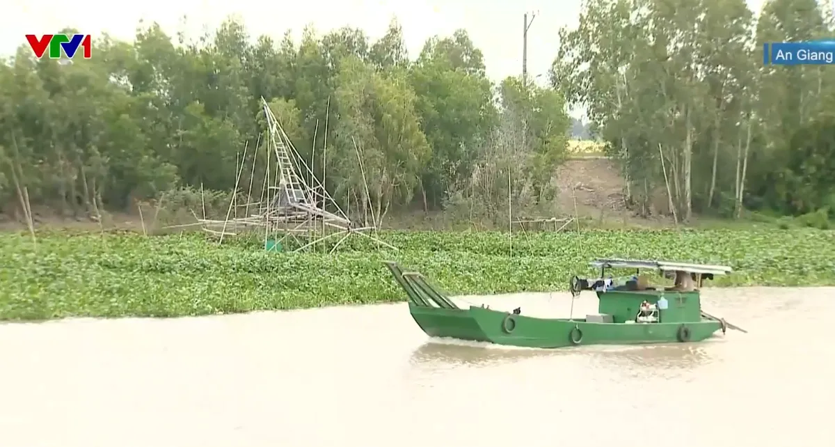 Triều cường ở ĐBSCL có thể vượt báo động 3, các địa phương tăng cường chống ngập- Ảnh 2.