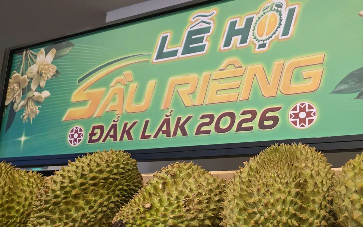 Lễ hội Sầu riêng Đắk Lắk 2026 sẽ diễn ra từ ngày 15/8 đến 2/9 với 17 hoạt động văn hóa, du lịch, thương mại và trải nghiệm. Ảnh: Bảo Hưng.