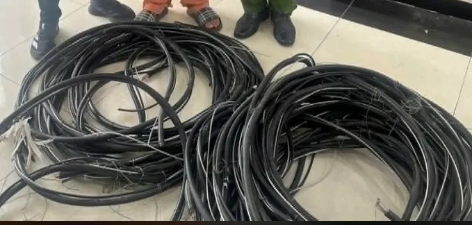 Giả danh nhân viên ngành điện, đột nhập trộm cáp của doanh nghiệp - Ảnh 1.