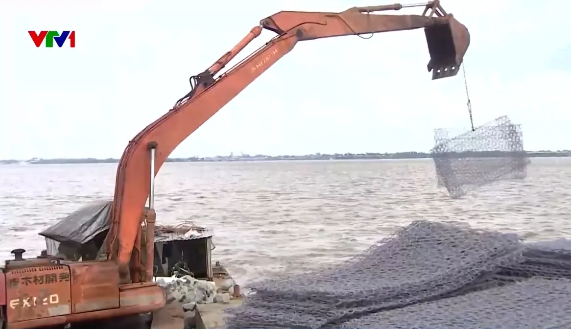 Cần Thơ chạy đua gia cố, bảo vệ đê phòng hộ ven sông Hậu - Ảnh 1.