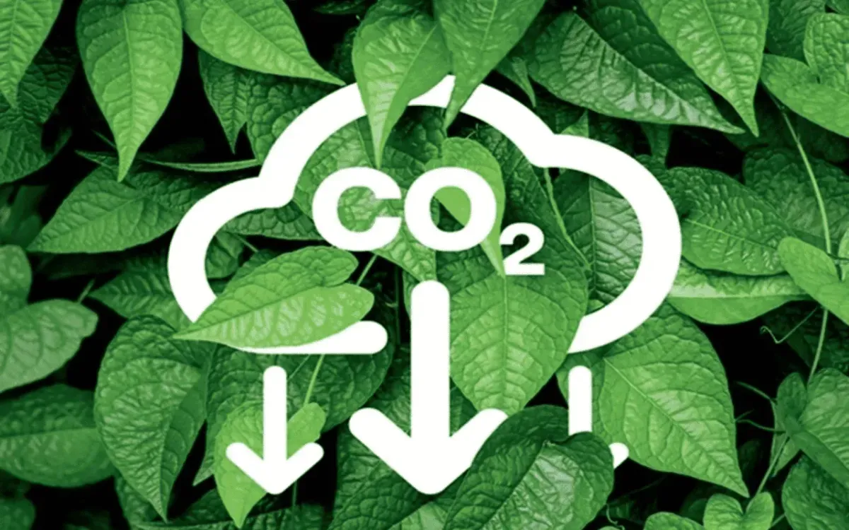 Sàn giao dịch carbon vẫn thiếu nguồn cung - Ảnh minh họa