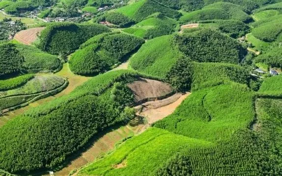  (Ảnh minh họa. Nguồn ảnh: TTXVN)