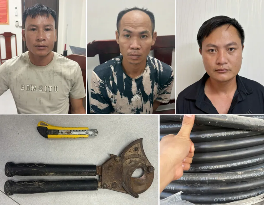 Bắt 3 đối tượng trộm gần 300 triệu đồng dây cáp điện của doanh nghiệp - Ảnh 1.