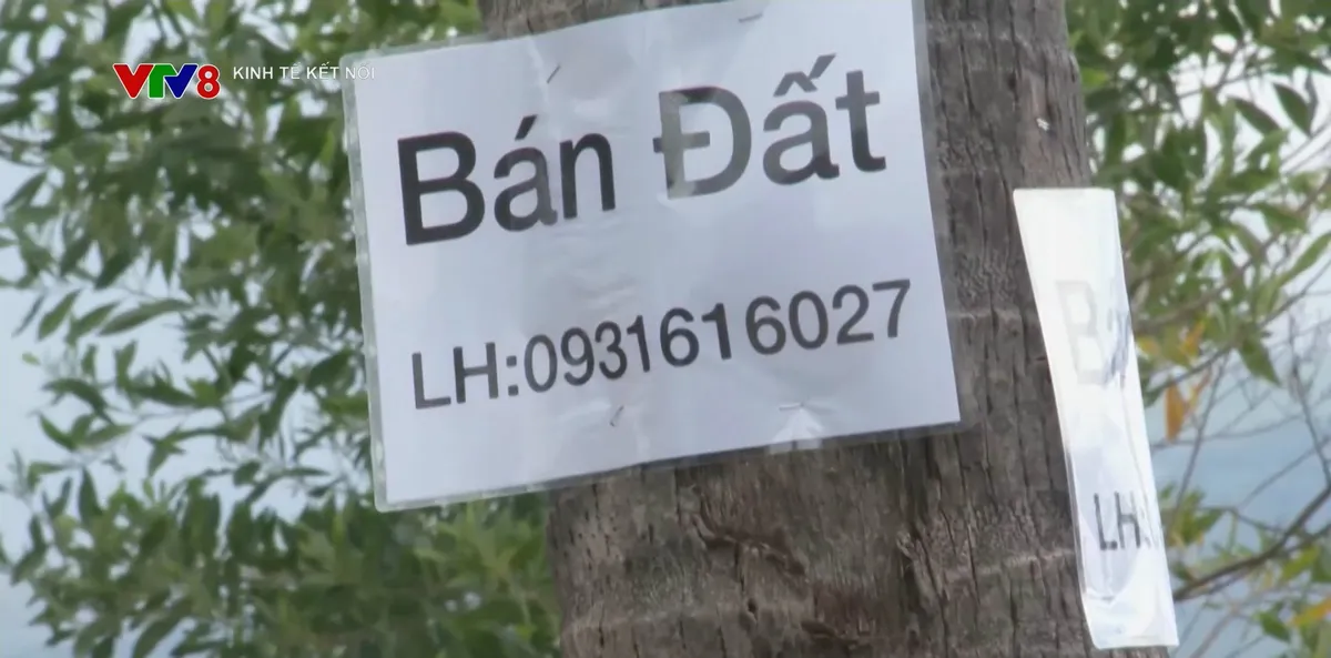 Định danh người m&ocirc;i giới- Minh bạch thị trường BĐS- Ảnh 7.