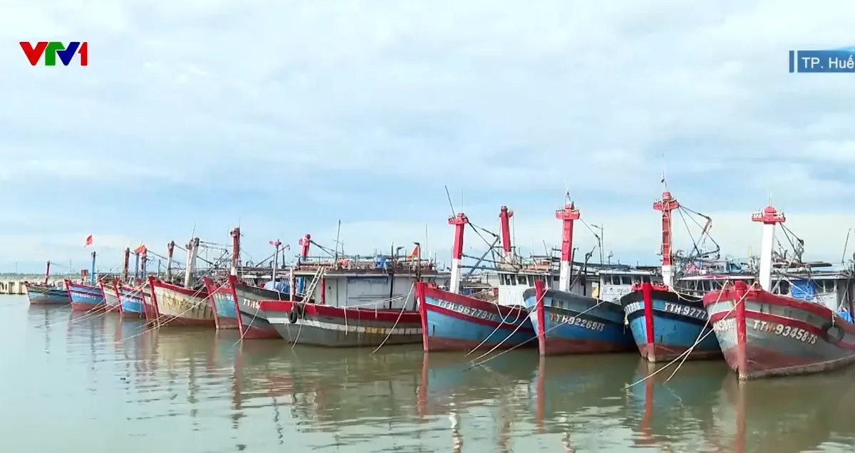 Hàng loạt tàu cá ở TP Huế nằm bờ do không đủ điều kiện đăng kiểm - Ảnh 1.