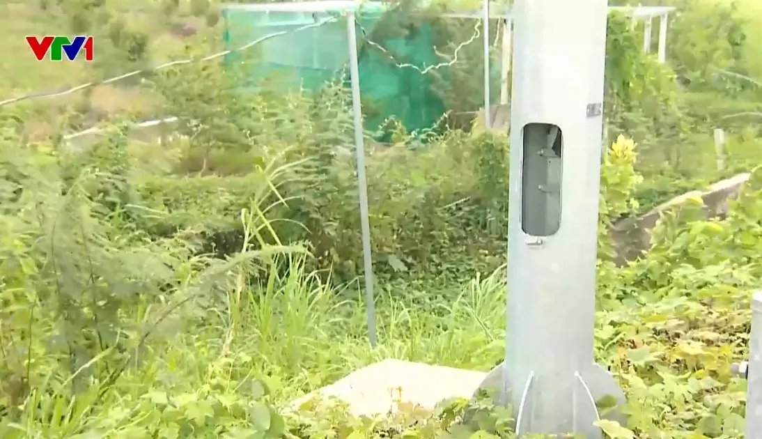 Hàng loạt trụ đèn giao thông, đèn chiếu sáng tại An Giang bị cắt trộm dây điện - Ảnh 2.