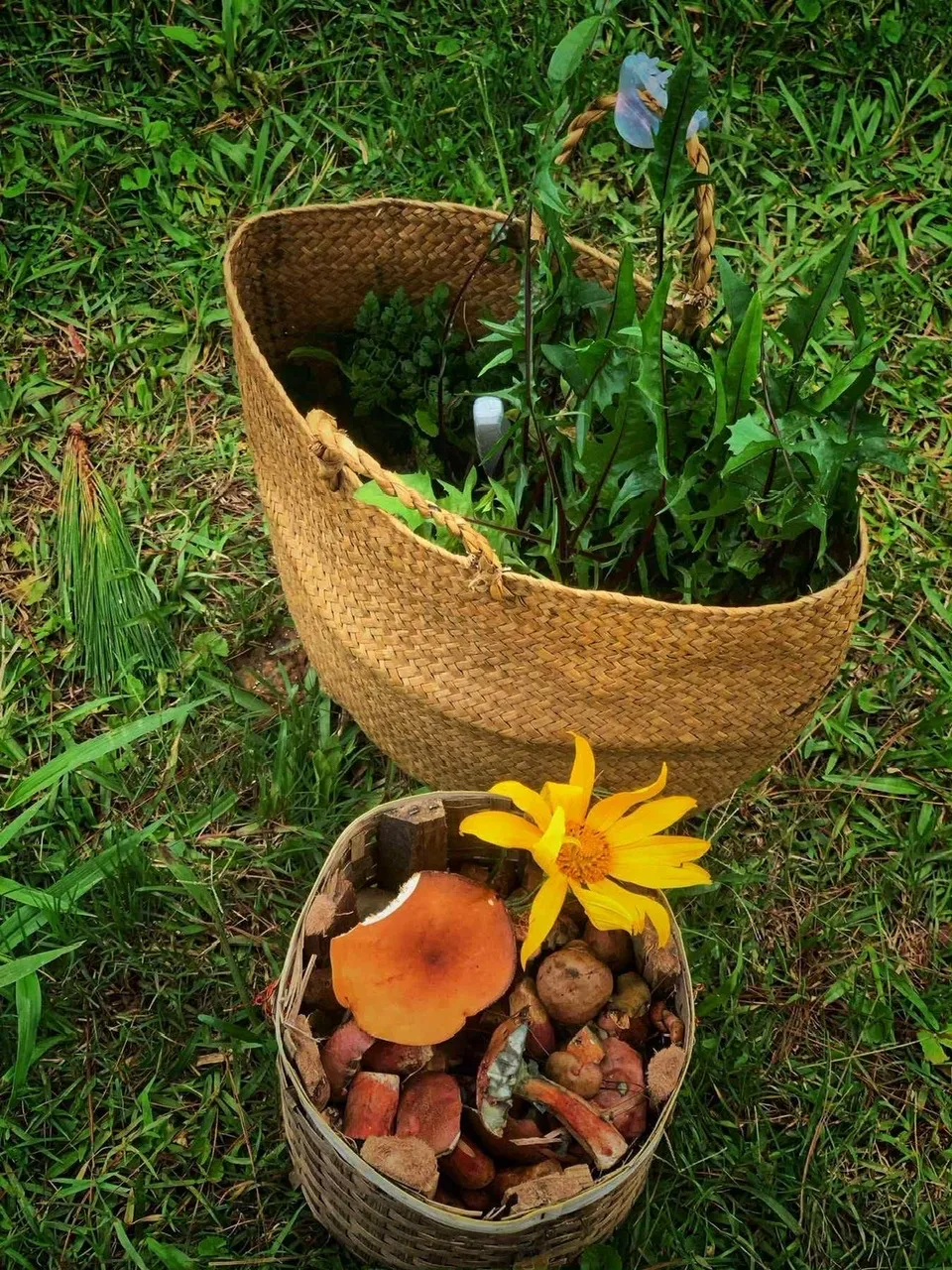 Y học cổ truyền mở hướng phát triển cho du lịch y tế Việt Nam - Ảnh 1.