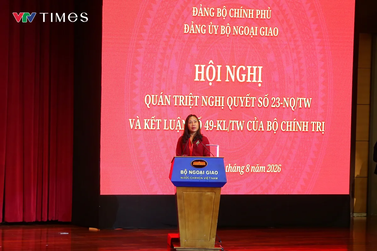 Phát huy mạnh mẽ hơn nữa vai trò của các cơ quan ngoại giao trong công tác người Việt Nam ở nước ngoài- Ảnh 1.