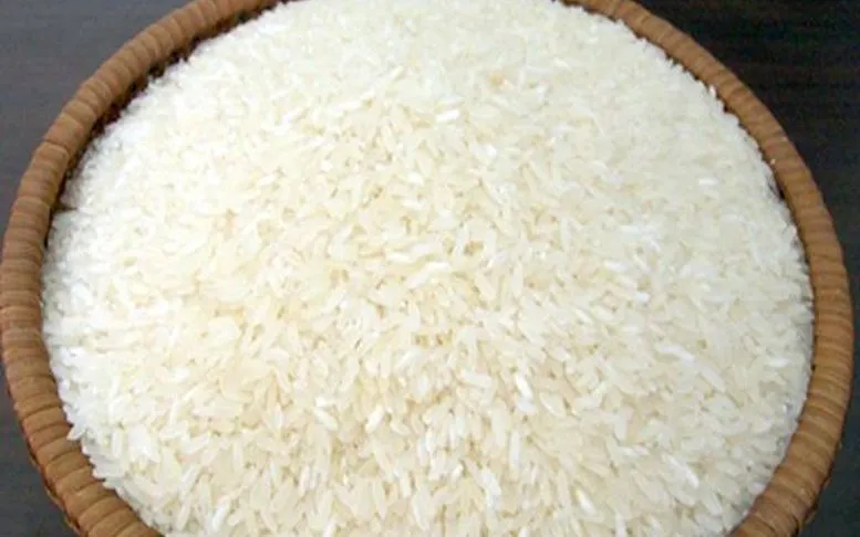 Ảnh minh họa. Ảnh: VGP
