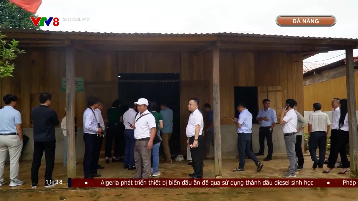 Mang yêu thương đến vùng cao Đà Nẵng, hỗ trợ người dân xã Hùng Sơn- Ảnh 5. Mang yêu thương đến vùng cao Đà Nẵng, hỗ trợ người dân xã Hùng Sơn- Ảnh 5.
