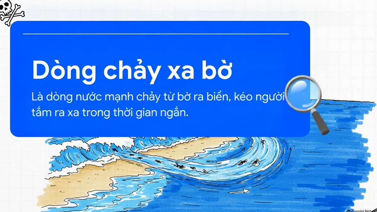 Hiểm họa sóng lớn khi đi du lịch biển: Cẩn trọng để có có chuyến đi an toàn- Ảnh 4. Hiểm họa sóng lớn khi đi du lịch biển: Cẩn trọng để có có chuyến đi an toàn- Ảnh 4.